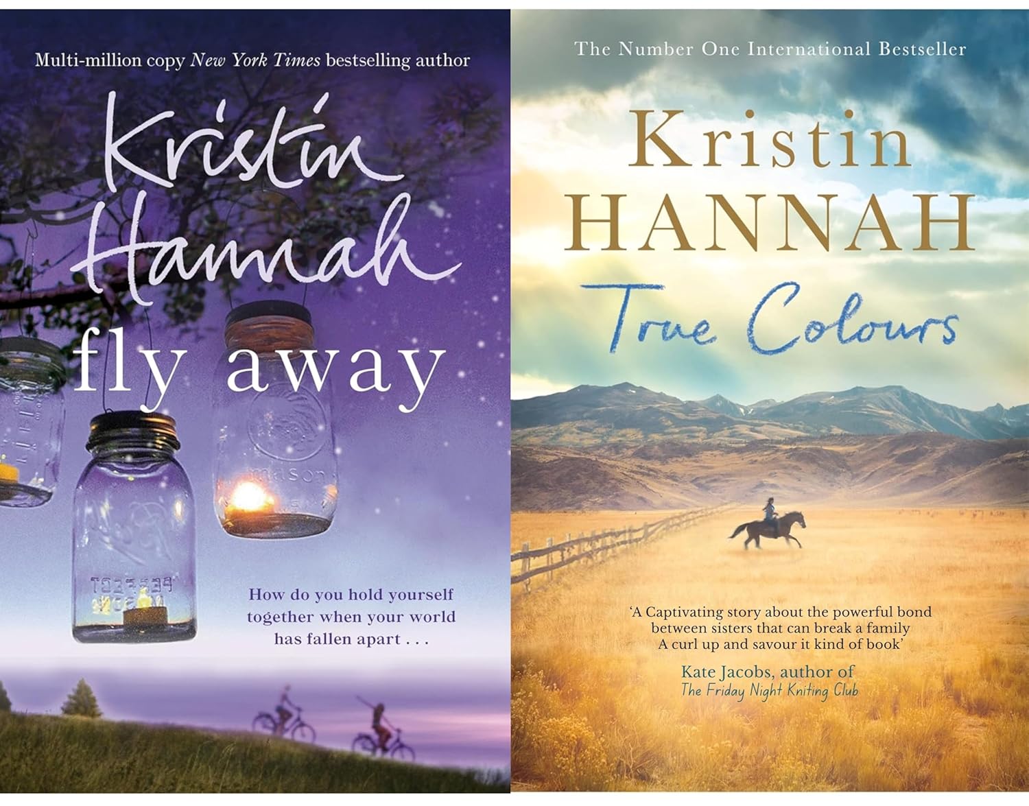 Kristin Hannah Complete Collection 13 Books Set (The Women, The Great Alone, The Nightingale, The Four Winds & More) - Image 6
